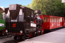 Zahnradbahn Schafberg